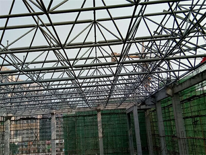 红桥光谷第十一小学网架